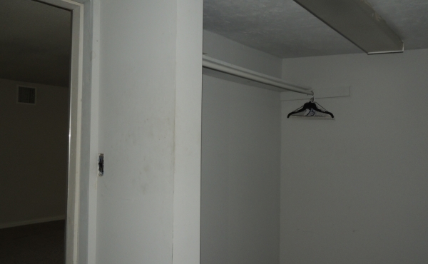 40 Walk in Closet in Living Room #3